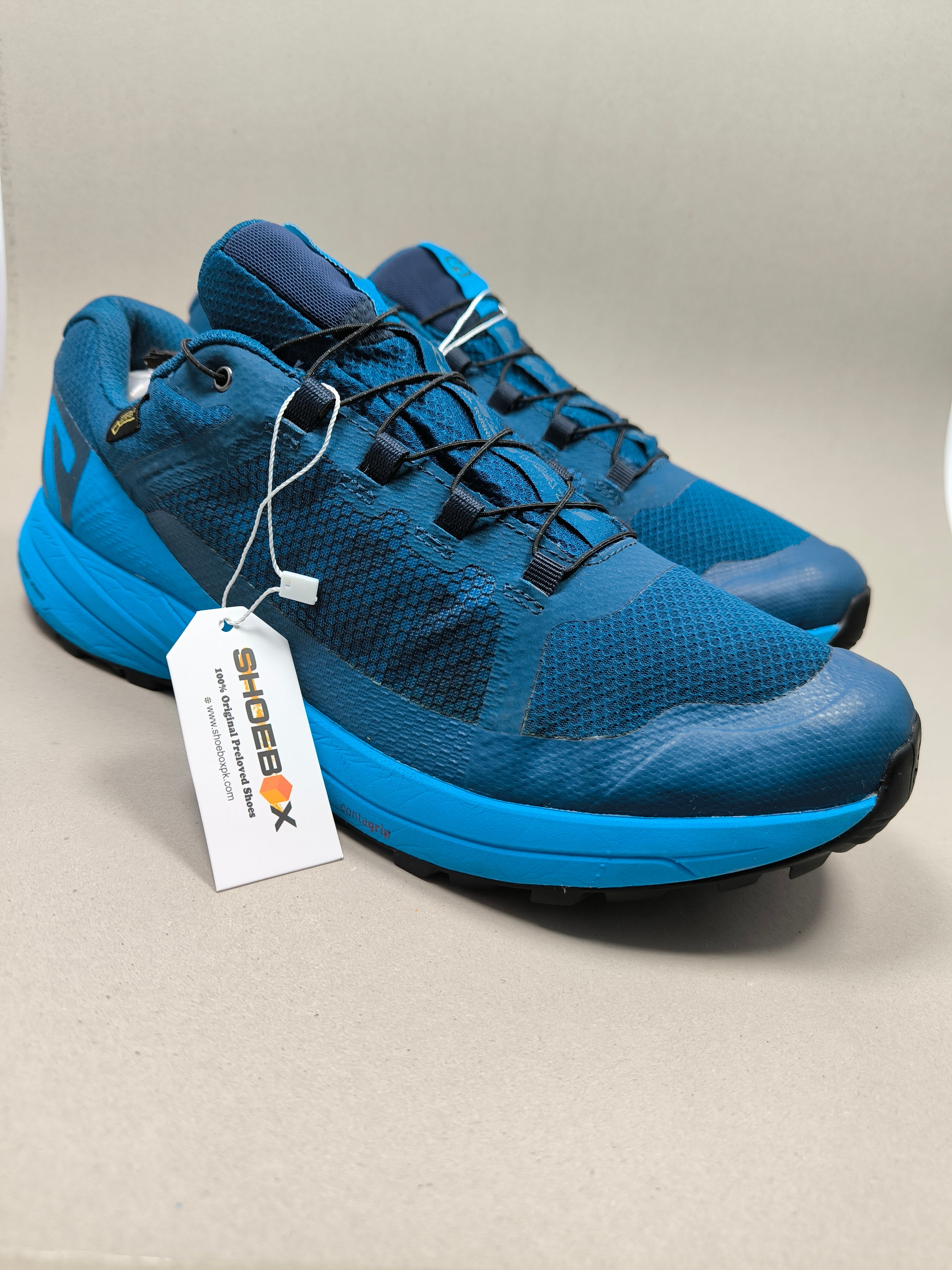 Salomon XA Elevate GTX . Size : EUR  45 | Premium