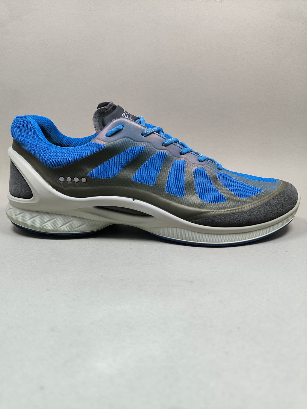 Ecco Biom . Size : EUR  46 | Premium