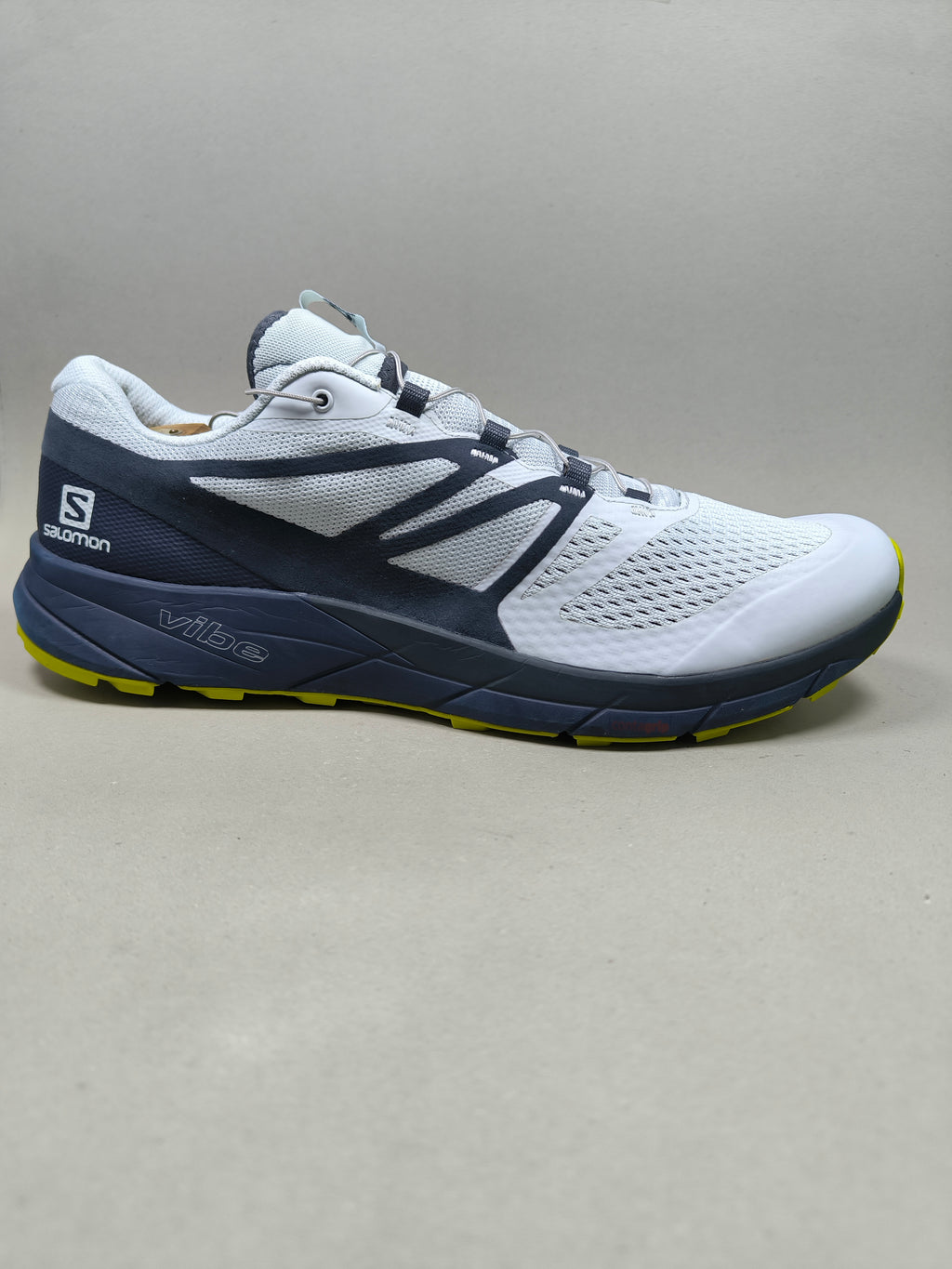 Salomon Sense Ride . Size : EUR  48 | Premium+