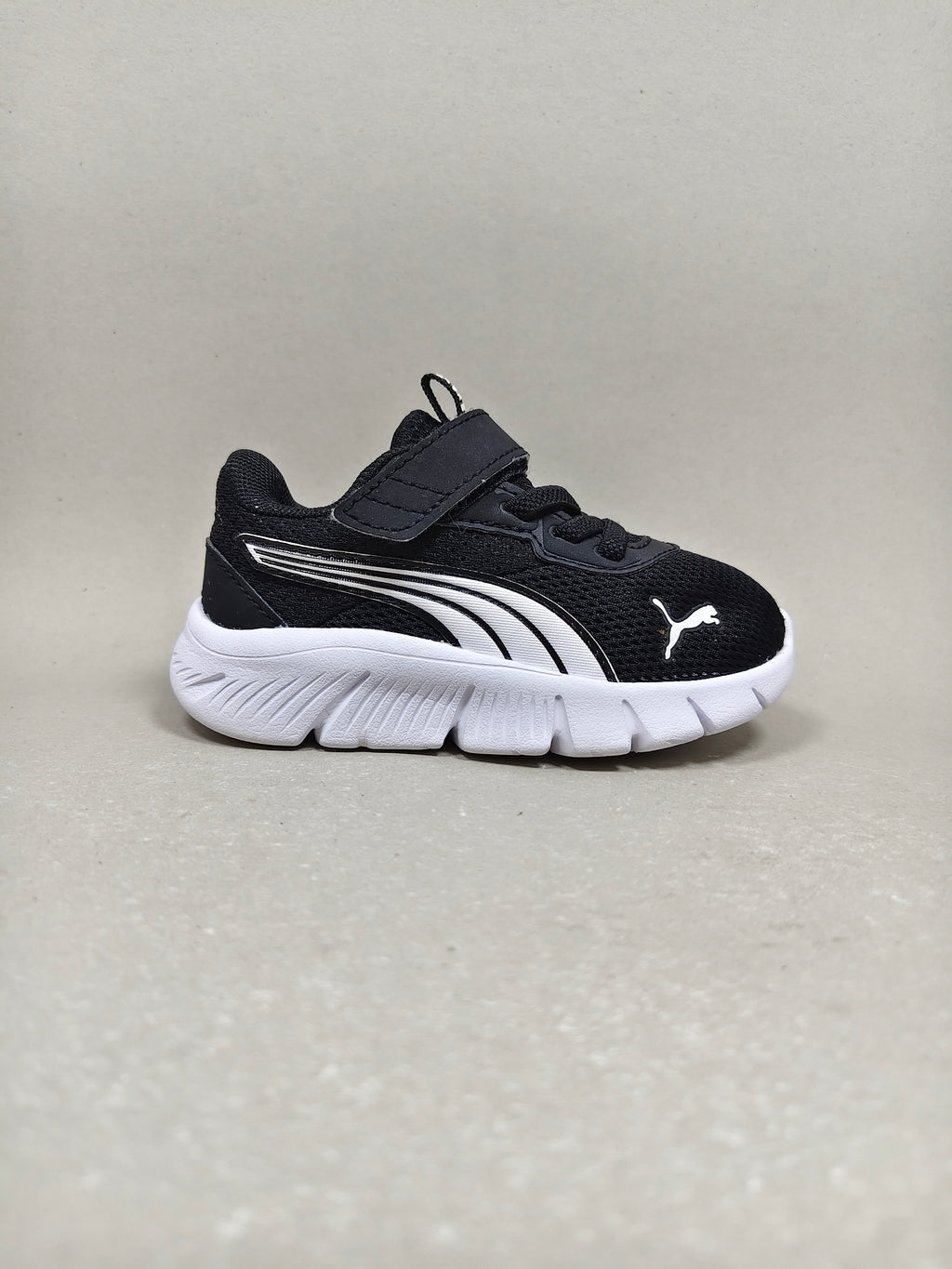 Puma Flex Focus Modern . Size : EUR  22 | Premium